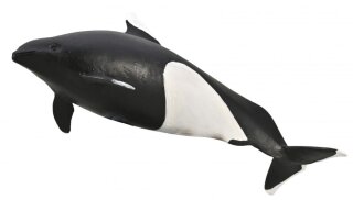 CollectA 80068 - Dalls Porpoise (pre order)*1