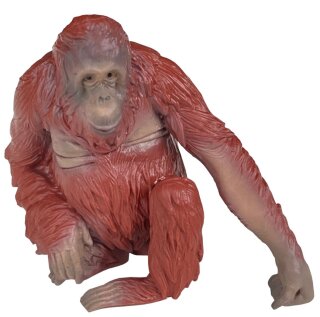 Animals of Australia 75908 - Orangutan (small)