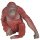 Animals of Australia 75908 - Orangutan (small)