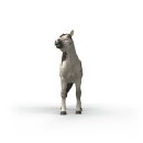 Schleich 14916 - Knappstrupper Gelding