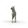 Schleich 14916 - Knappstrupper Gelding
