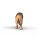 Schleich 14974 - African Lion