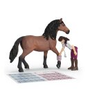 Schleich 42787 - Pferdeklinik Heilende Hufe