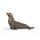 Schleich 14933 - Sea Lion