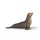 Schleich 14933 - Sea Lion