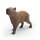 Schleich 14934 - Capybara