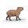 Schleich 14934 - Capybara