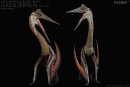 REBOR 161212 - 1:11±1 Quetzalcoatlus northropi...