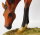 Resin Yearling   (Pic shows the actual horse)*