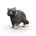 Schleich 14937 - Raccoon