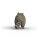 Schleich 14937 - Raccoon