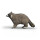 Schleich 14937 - Raccoon