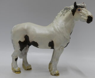 WIA - Gustav CUST (Bild zeigt das aktuelle Pferd)*