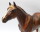 Breyer Traditional (1:9) 912 - Trakehner (Pic shows the actual horse)*