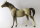 Breyer Classic (1:12) 259 - Andrew (Bild zeigt das aktuelle Pferd)