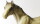 Breyer Classic (1:12) 259 - Andrew (Bild zeigt das aktuelle Pferd)