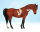 Breyer Stablemate (1:32) 10318 - April Fool’s 2025 (Araber)