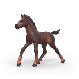 Schleich 81479 - Sammelfohlen Serie 2 - Ravi