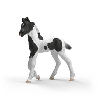 Schleich 81481 - Sammelfohlen Serie 2 - Rocky