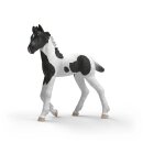 Schleich 81481 - Sammelfohlen Serie 2 - Rocky