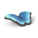 Schleich 42741 - Insekten Entdecker Set