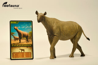 EoFauna 014 - Paraceratherium grangeri (1:35)