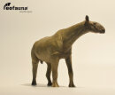 EoFauna 014 - Paraceratherium grangeri (1:35)