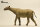 EoFauna 014 - Paraceratherium grangeri (1:35)