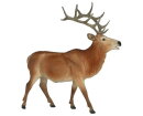 Breyer Traditional (1:9) EV-10769 - Hirtir