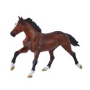 Mojö 381154 - Thoroughbred (2026)