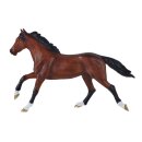 Mojö 381154 - Thoroughbred (2026)