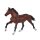 Mojö 381154 - Thoroughbred (2026)