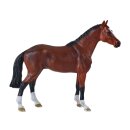 Mojö 381155 - Dutch Warmblood (KWPN) (2026)