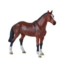 Mojö 381155 - Dutch Warmblood (KWPN) (2026)