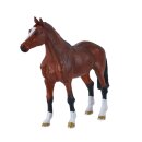Mojö 381155 - Dutch Warmblood (KWPN) (2026)