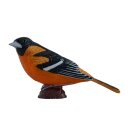 Mojö 381143 - Baltimoretrupial