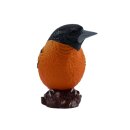 Mojö 381143 - Baltimoretrupial