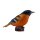 Mojö 381143 - Baltimoretrupial