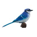 Mojö 381145 - Blue Jay
