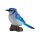 Mojö 381145 - Blue Jay