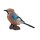 Mojö 381146 - Eichelhäher / European Jay