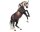 Breyer Traditional (1:9) CS-10655 - Carmen (matte)