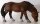 Schleich 13299 - Reitpony grasend (Bild zeigt das aktuelle Tier)