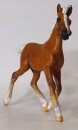 CollectA - Fohlen - Body (Bild zeigt das aktuelle Tier)
