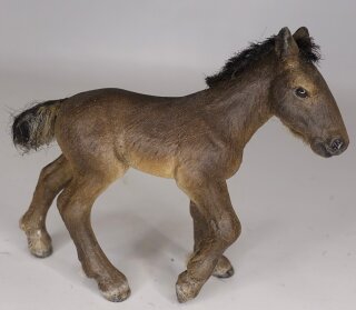 Schleich CUST - Fohlen BODY (Bild zeigt das aktuelle Tier)