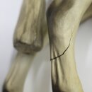 Artist Resin Horse DEFEKT - (Bild zeigt das aktuelle Tier)