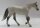 Breyer Stablemate (1:32) 97261 - Quarter Horse (Bild zeigt das aktuelle Pferd)