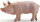 Papo 51044 - Boar