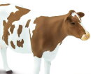Safari Ltd. 162129 - Ayrshire Cow