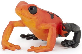 Papo 50193 - Roter Äquatorial Frosch
